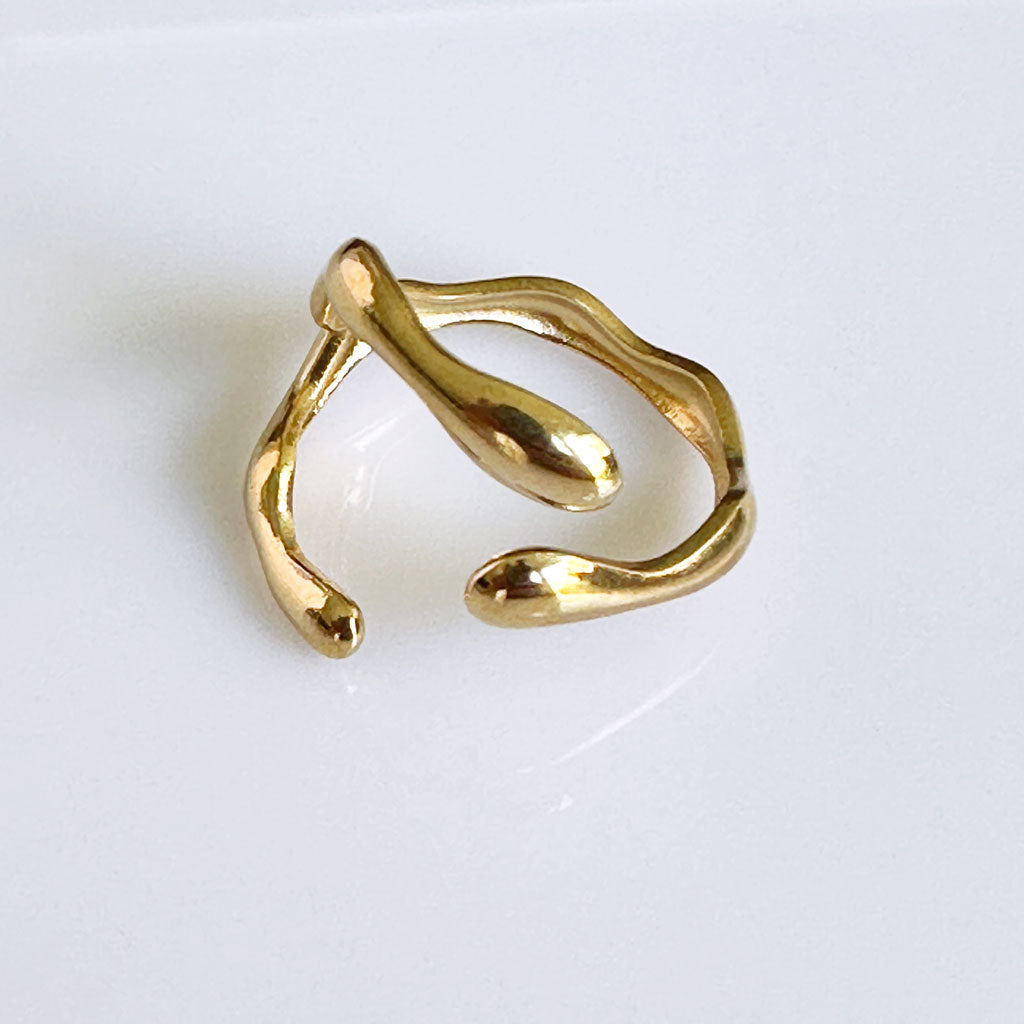 Anillo Drip