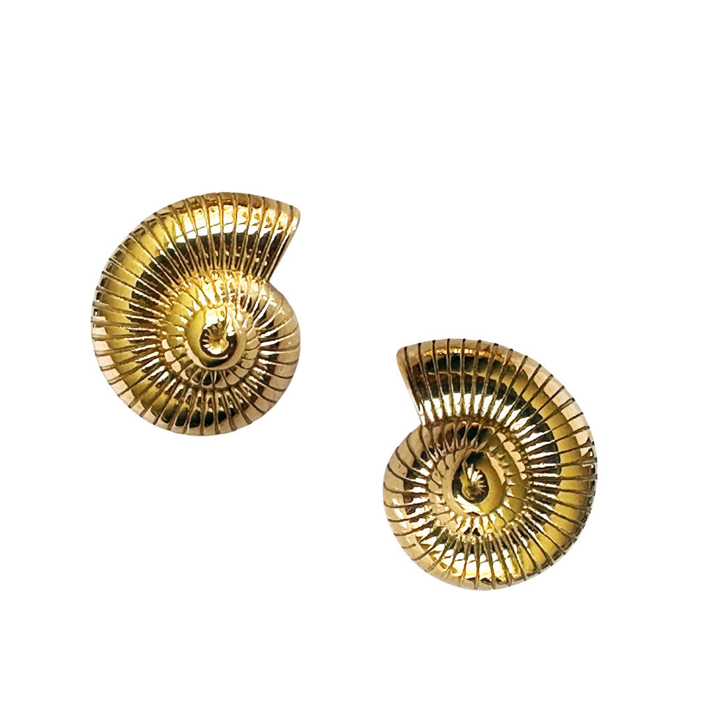 Aretes Caracol