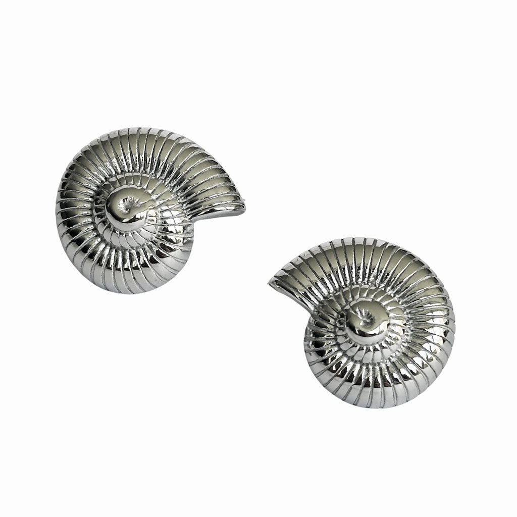 Aretes Caracol