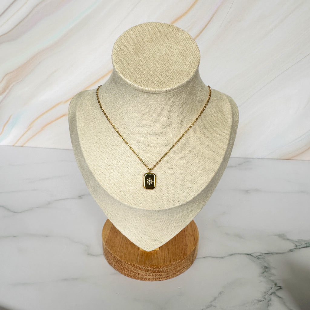 Collar Astro